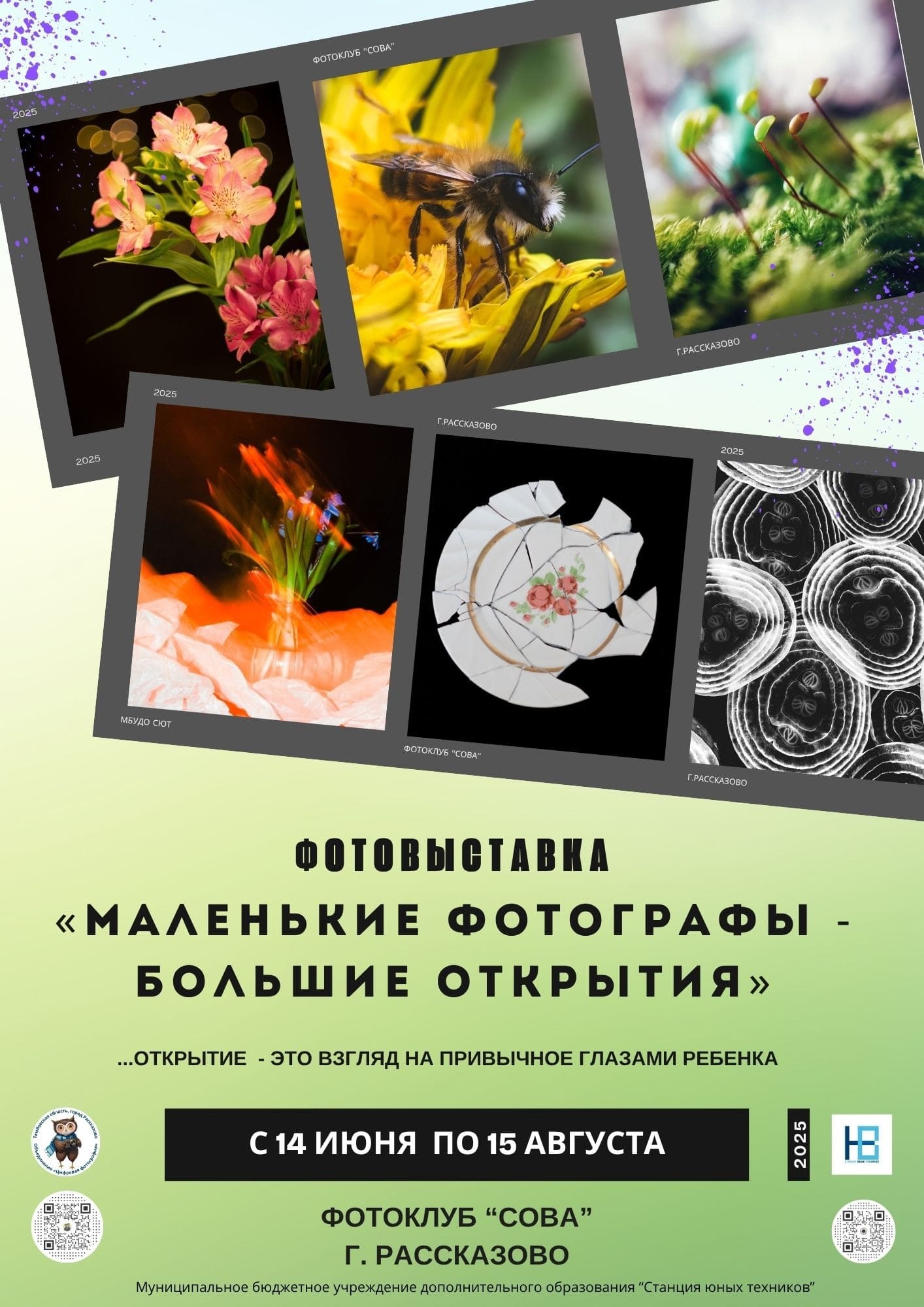 Выставка